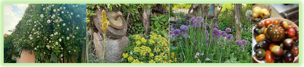 Gartenführungen und Vorträge